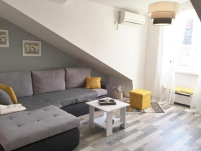 Отель Charming Rijeka city center apartment Renee  Риека